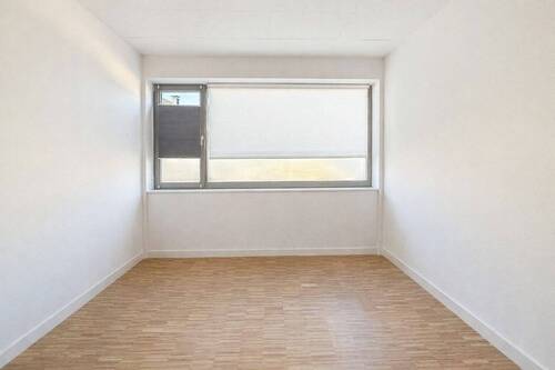 Kind, Arbeiten, Gast - 