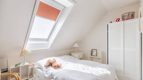 Dachstudio - 