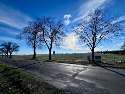 Feldblick - 