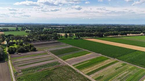Unsere Felder - 