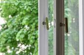 LowRes_HighRes_L1070524.jpg - 
