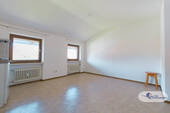 Zimmer DG 2 - 