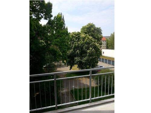 Umfeld hinter dem Haus - 