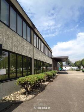 Gebaeudeansicht_laengst - Büro zur Miete in Eggenstein