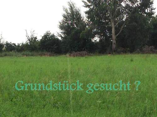 Grundstück gesucht .JPG - Blankenfelde-Mahlow Grundstück für Entwickler und Bauträger
