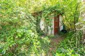 Schuppen - 