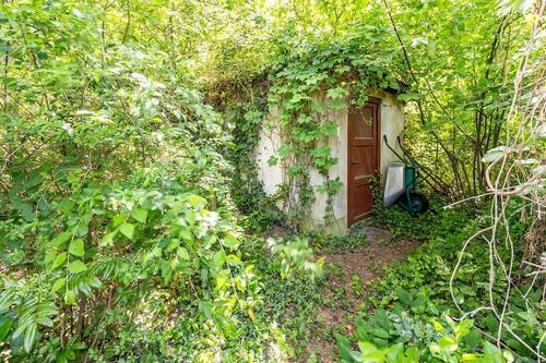 Schuppen - 