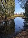 IMG_1785.JPG - Einmalige Lage am Waldrand - 750.000,00 EUR Kaufpreis, ca.  320,00 m² Wohnfläche