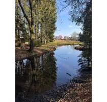 Einmalige Lage am Waldrand - 750.000,00 EUR Kaufpreis, ca.  320,00 m² Wohnfläche in Seevetal (PLZ: 21217) Meckelfeld