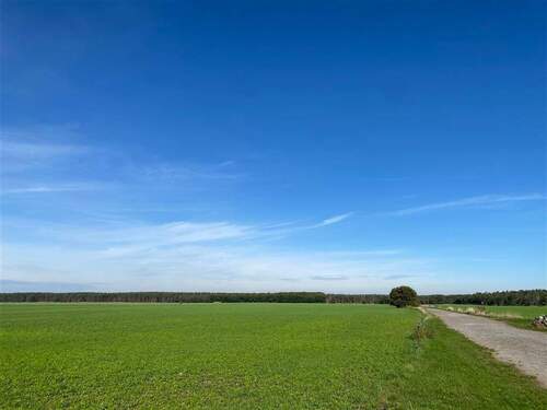 Felder hinter dem Haus - 