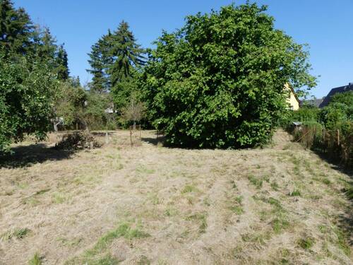 P1080087.JPG - Baugrundstücke in Jürgenshagen - 210.000,00 EUR Kaufpreis, ca.  0,00 m²