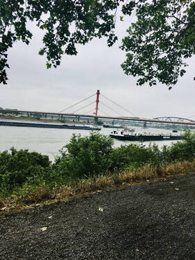 Fußläufig zum Rhein - 