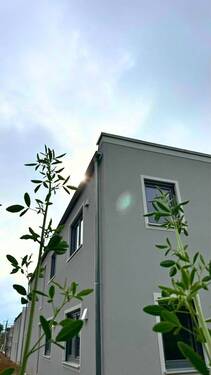 20250602 Nabburg EF (5) - bearbeitet.jpg - Jetzt Chance nutzen - Neubau von Eigentumswohnungen in 92507 Nabburg, KfW 40 NH