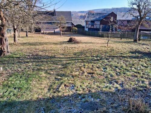 Blick in den Garten - 