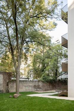 Gemeinschaftsgarten - 