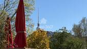 Weinbergspark - 3 Zimmer Etagenwohnung zum Kaufen in Berlin