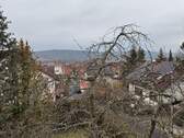IMG_3790.JPG - 