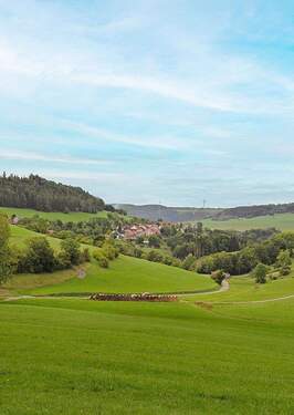 BN_Bilder-Web - 1 Zimmer Mehrfamilienhaus, Wohnhaus zum Kaufen in Bonndorf