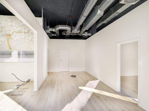 Ladenfläche Ansicht 4 - 