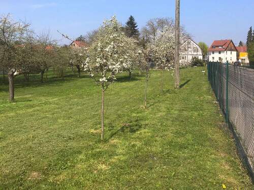 Grundstücksansicht - Großzügiges Grundstück mit vielseitigen Bebauungsmöglichkeiten