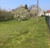 Großzügiges Grundstück mit vielseitigen Bebauungsmöglichkeiten - Affalterbach