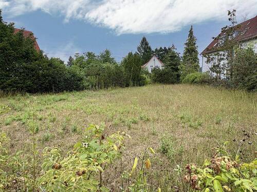 Blick in den Garten - Grundstück in Erlangen