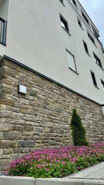 20250603 BUL EF (2).jpg - 