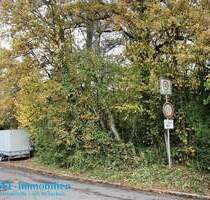 Zwischen Neckar und Natur - Baugrundstück mit Zukunft zu verkaufen - Neckargemünd Dilsberg