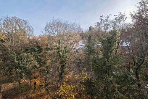 Blick ins Grüne - 3 Zimmer Einfamilienhaus zum Kaufen in Steinheim