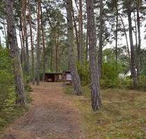 Traumhaftes Waldgrundstück in Michendorf