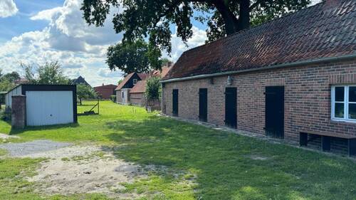 Blick vom Haus zum Garten - 