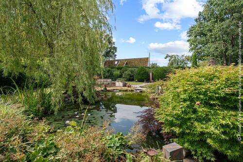 Garten - Teich - 