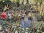 Gartenteich - 