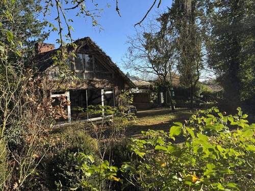 Ansicht vom Garten - 