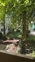 Bild 16 - 