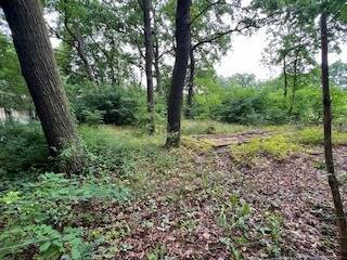 Ansicht 1 - Grundstück zum Kaufen in Oranienburg