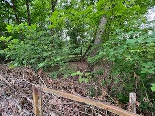 Ansicht 2 - Grundstück in Oranienburg