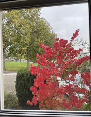 Blick nach draußen.jpg - 