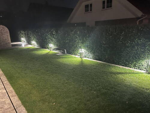 Bild 11 - 