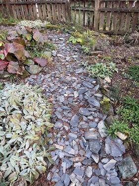 Garten 2.jpg - 