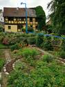Garten von unten.jpg - 