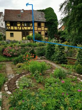 Garten von unten.jpg - 