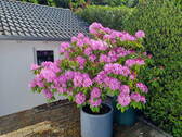 Bild 10 - 