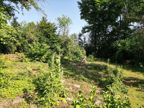 Teilansicht vom Grundstück - Grundstück in Gummersbach