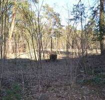 Baugrund für MFH oder EFH - 375.000,00&nbsp;EUR Kaufpreis, ca.&nbsp; 0,00&nbsp;m&sup2; in Teupitz (PLZ: 15755)