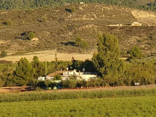 IMG-20240625-WA0001.jpg - Grundstück zum Kaufen in Lorca