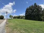 Bild (5) - 