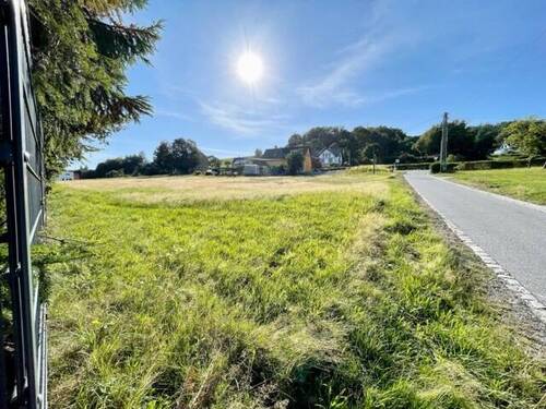 Freiblick - 