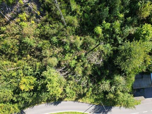 Ansicht vom gesamten Grundstück - Grundstück zum Kaufen in Bergneustadt