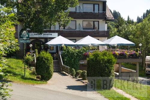 Eingangsbereich - Hotel, Pension, Gasthof zum Kaufen in Schwarzenbach am Wald / Gottsmannsgrün